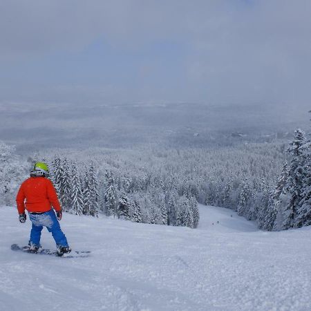 Borovets Apartment, Villa Park Esterno foto