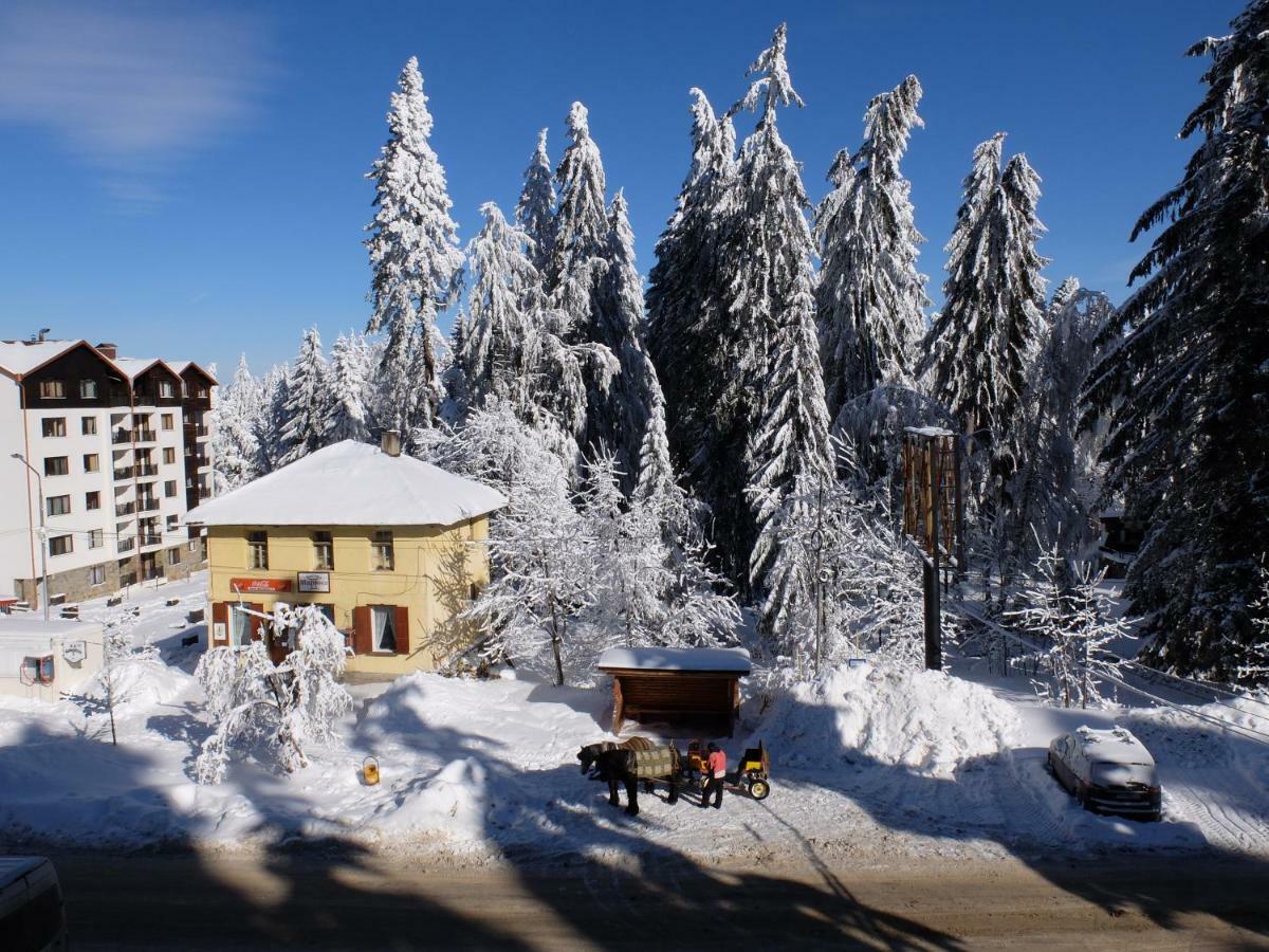 Borovets Apartment, Villa Park Esterno foto