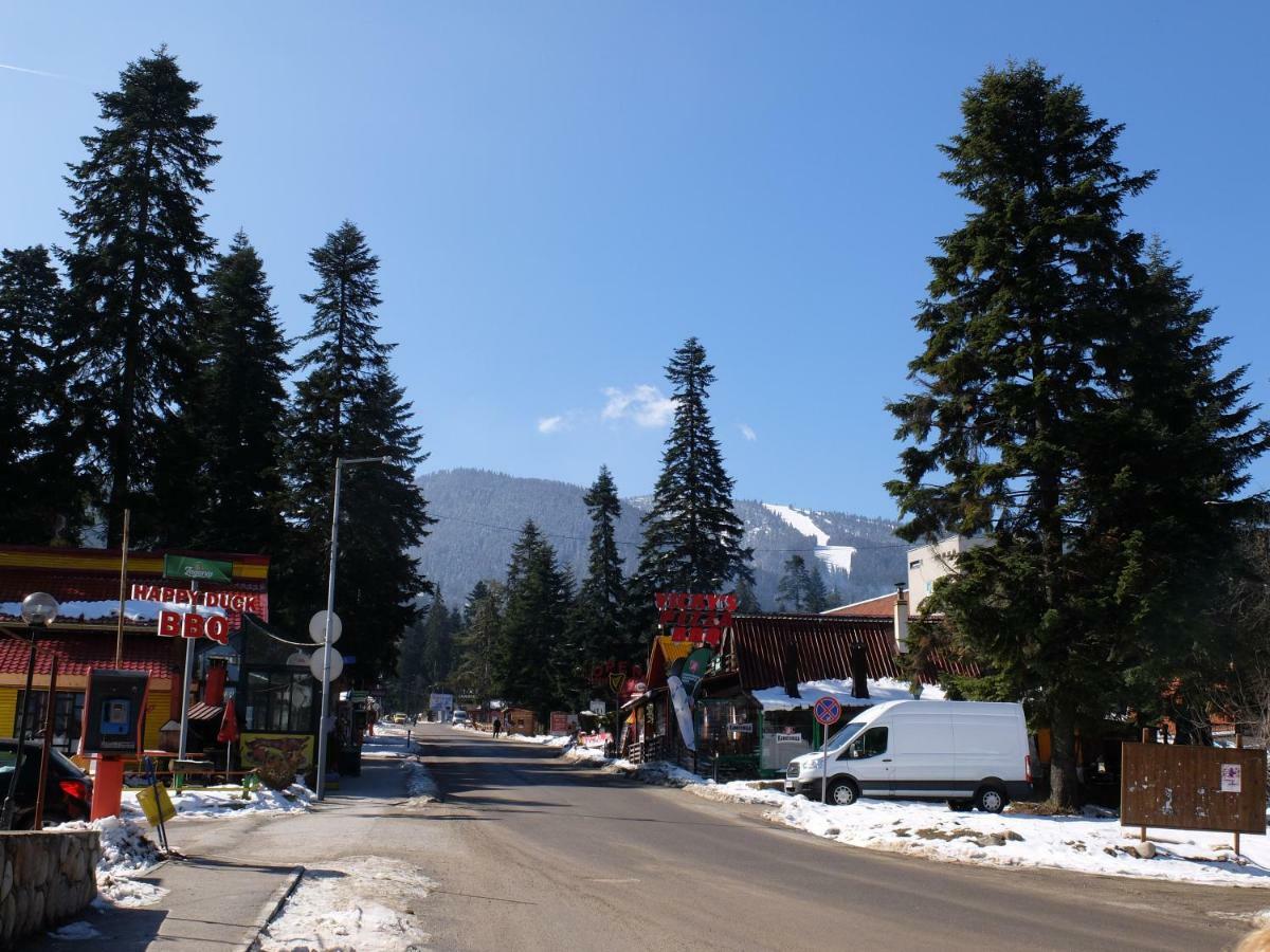 Borovets Apartment, Villa Park Esterno foto